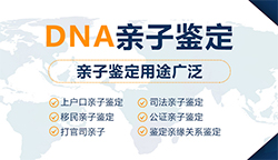 北京私密亲子鉴定需要的材料，北京隐私亲子鉴定办理费用